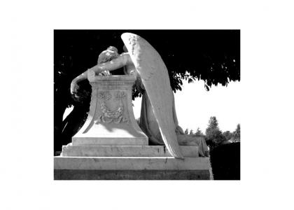 weeping angel