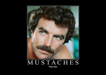 Mustaches... just not for homos anymore..