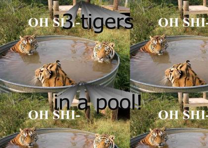 What's scarier than a tiger in a pool?