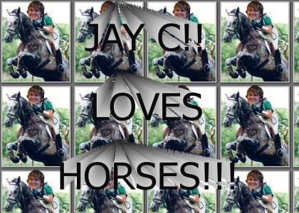 JAY C's HORSE