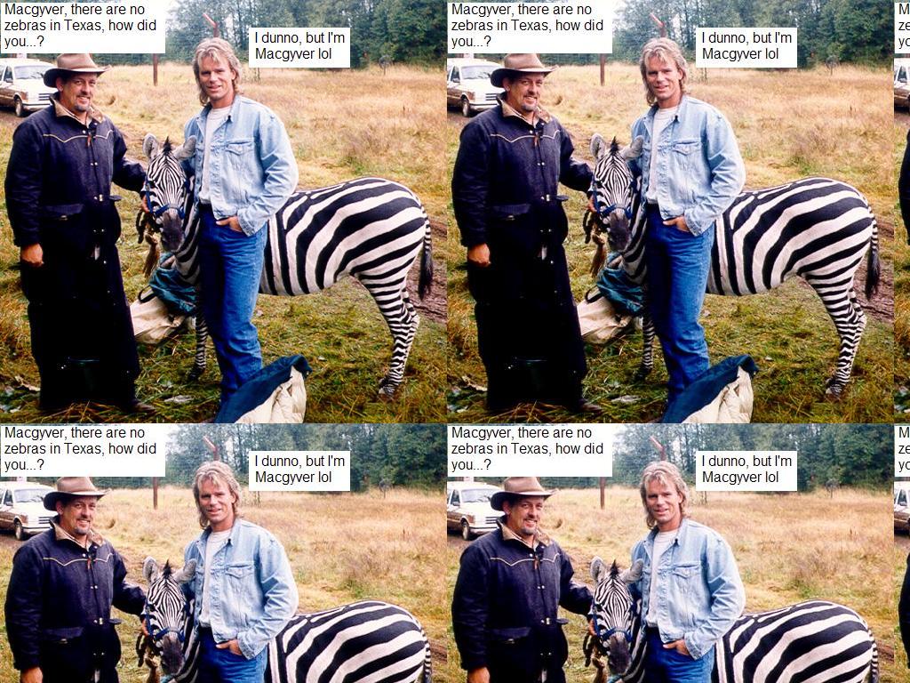 macgyverzebra