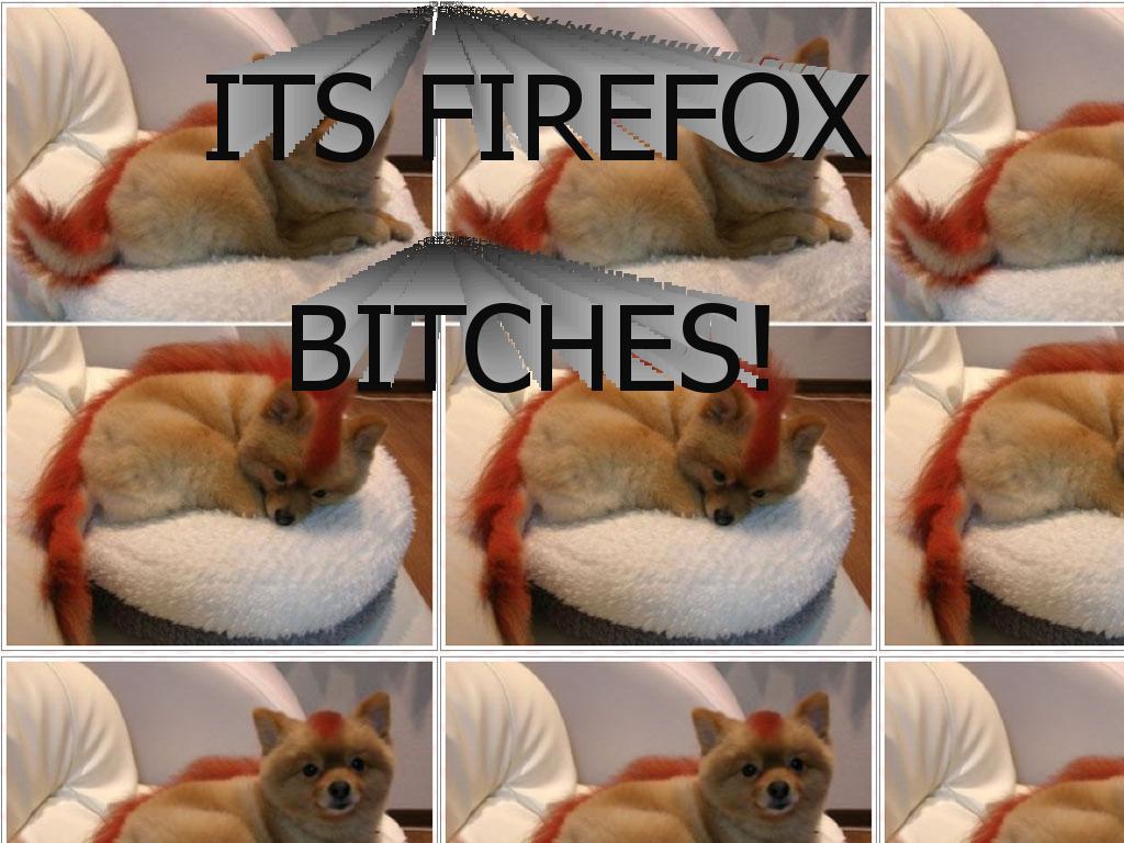 itsfirefoxbitches