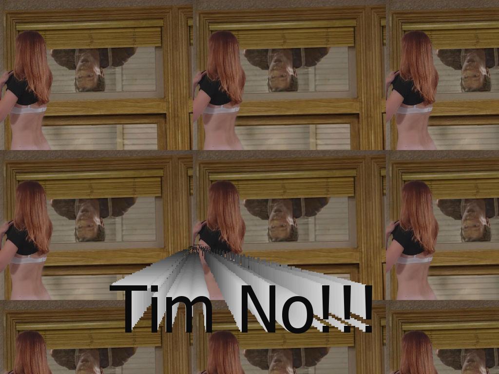 timtaylorno