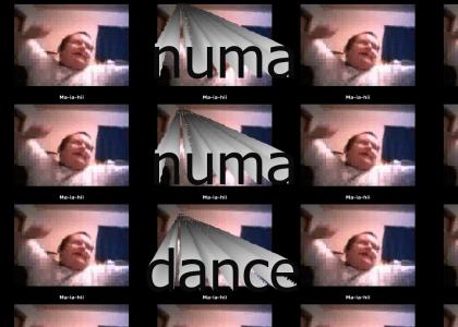 NUMA NUMA