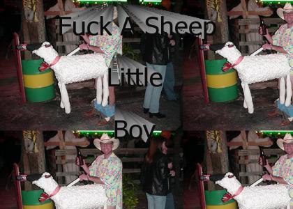 Tatu Loves Sheep