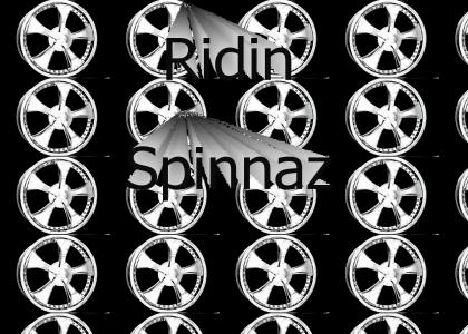 ridingspinnaz