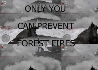 COD2 and Forest fires