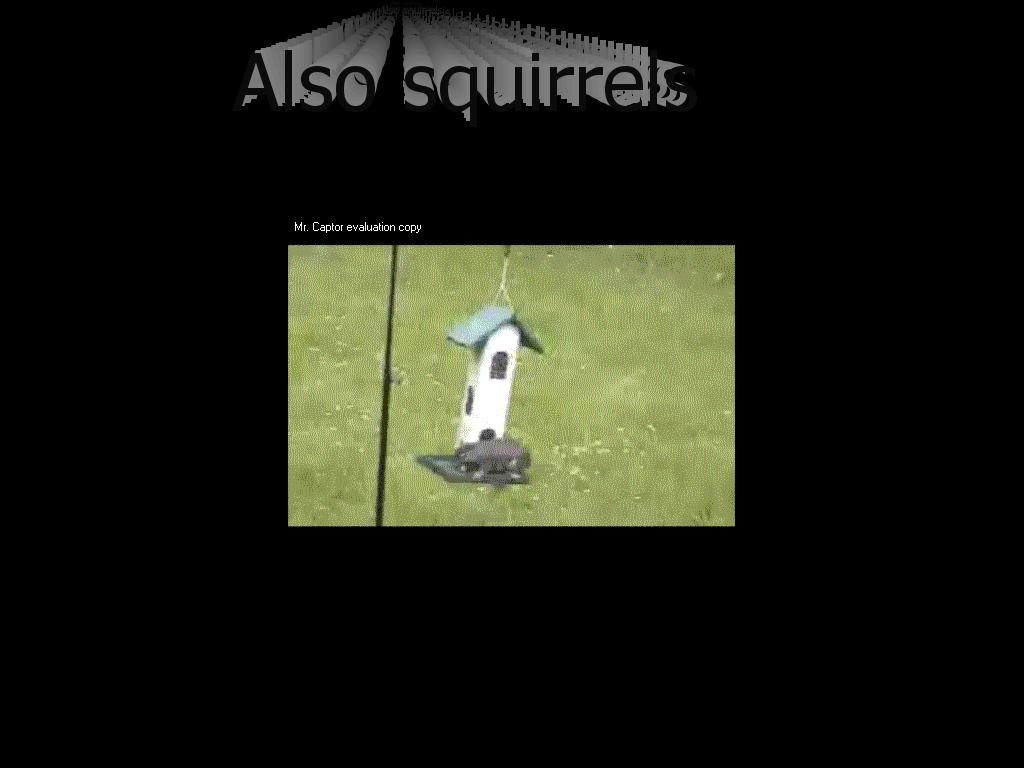 squirrelspinnaz