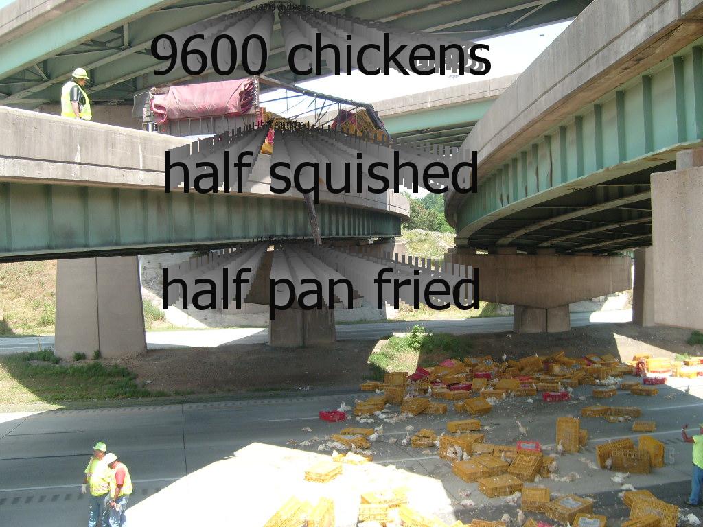 chickenarmageddon