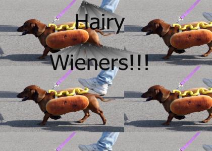 Hairy Wiener