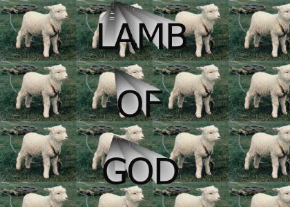 lamb of god