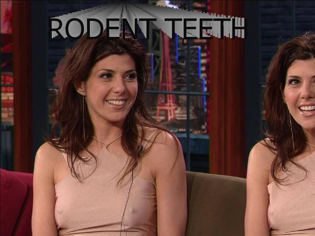 rodentteeth