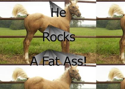 When Mighty Horse Rocks