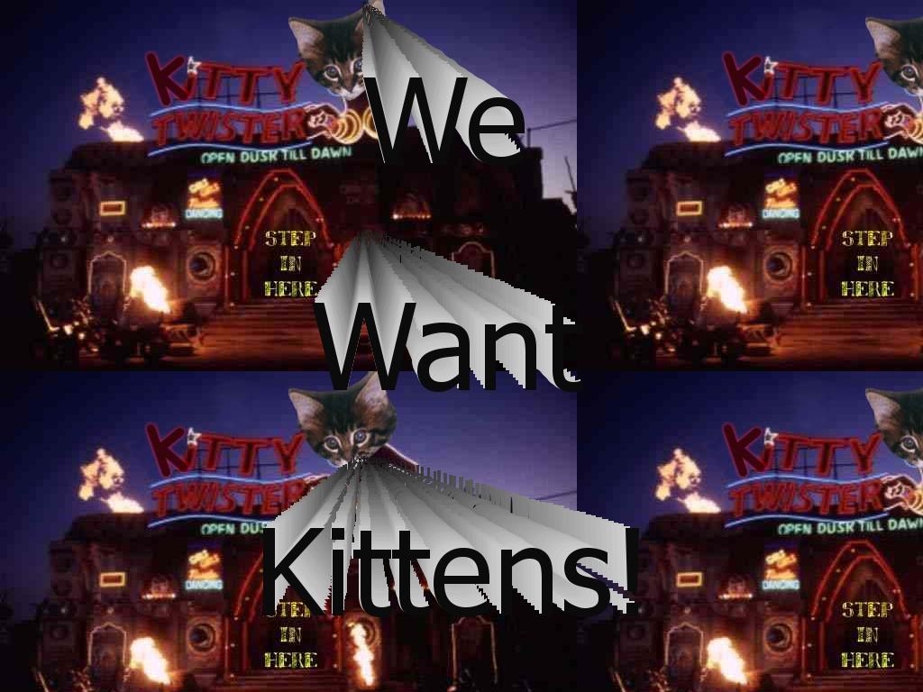 wheredokittenscomefrom