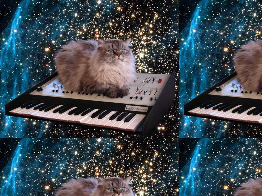 kittypiano