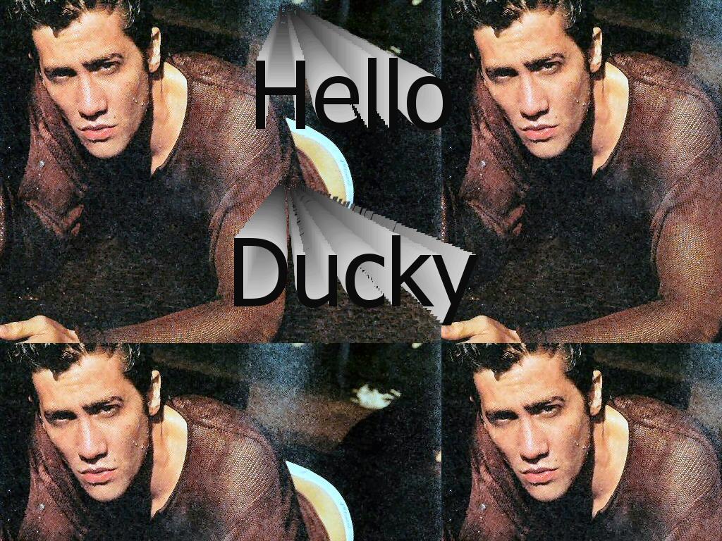 helloducky