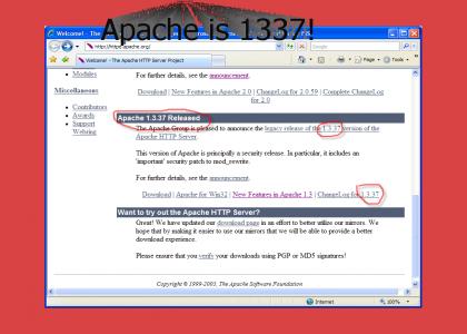 Apache is 1337