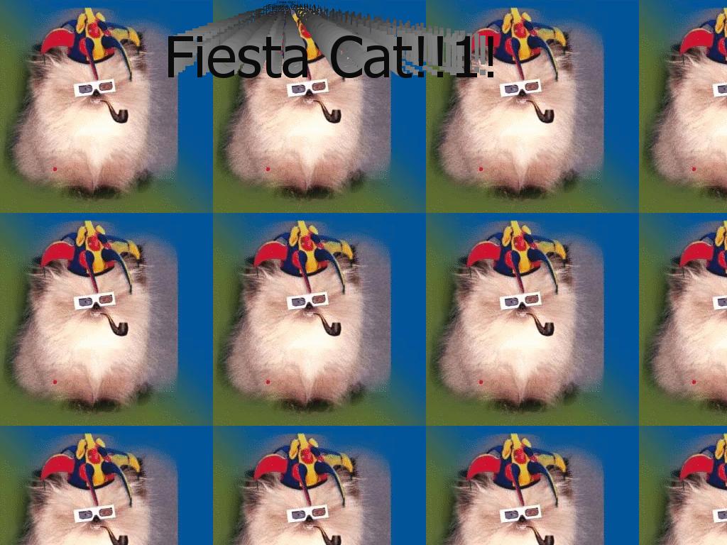 catfiesta