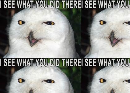 The O RLY owl stares into your soul