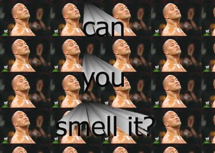 can you smell?