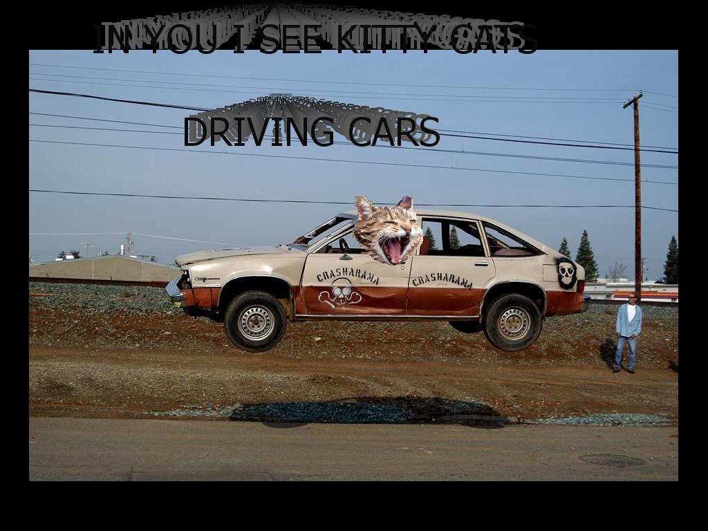 kittiesdrivingcars
