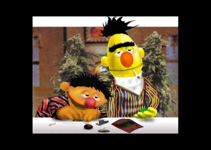 Bert and Ernie get high