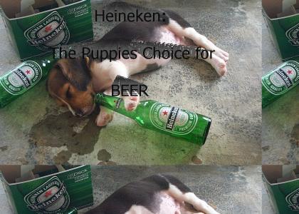 Heineken...the puppies choice!