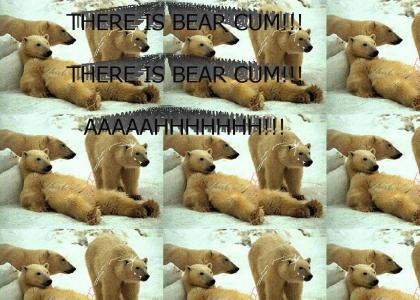 THERE IS BEAR CUM!!!!