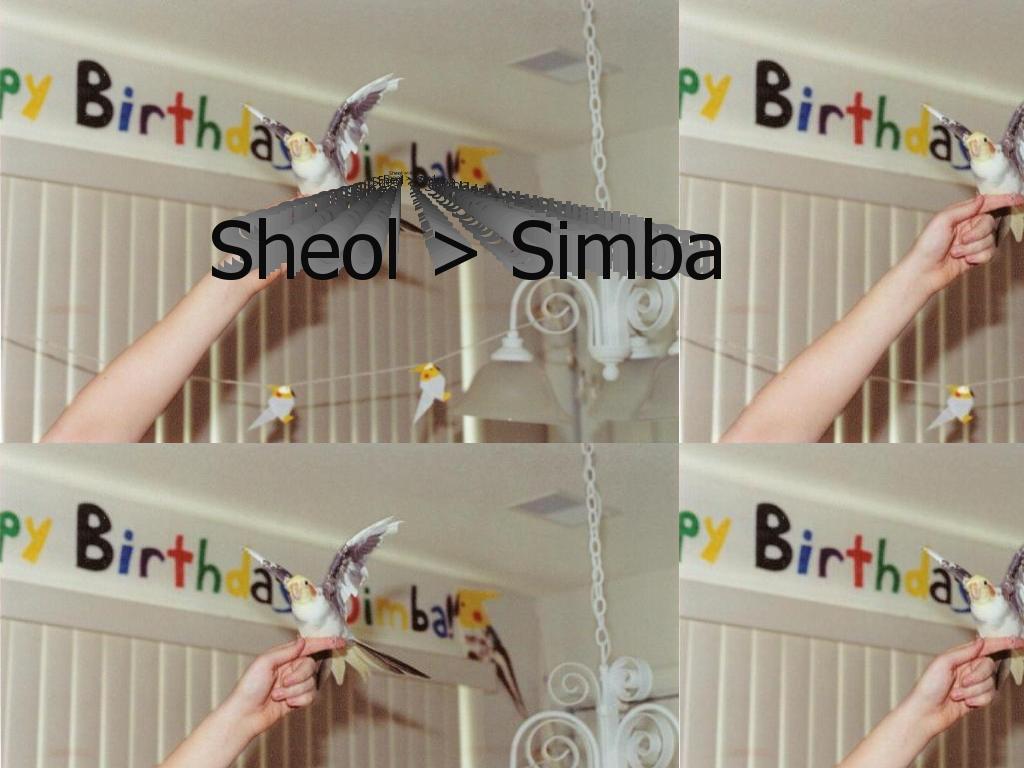 SimbaBirthday