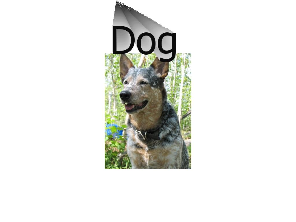 dogsite