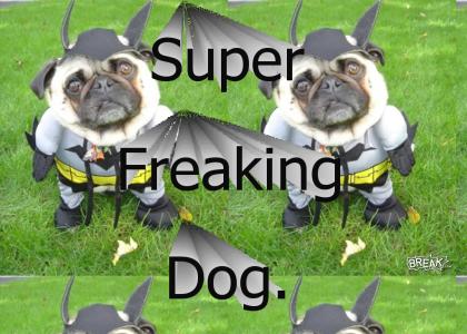 SuperDog