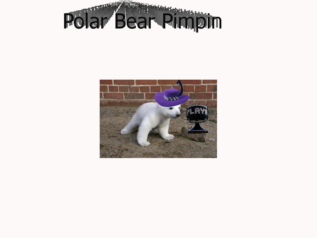 polarbearpimpin
