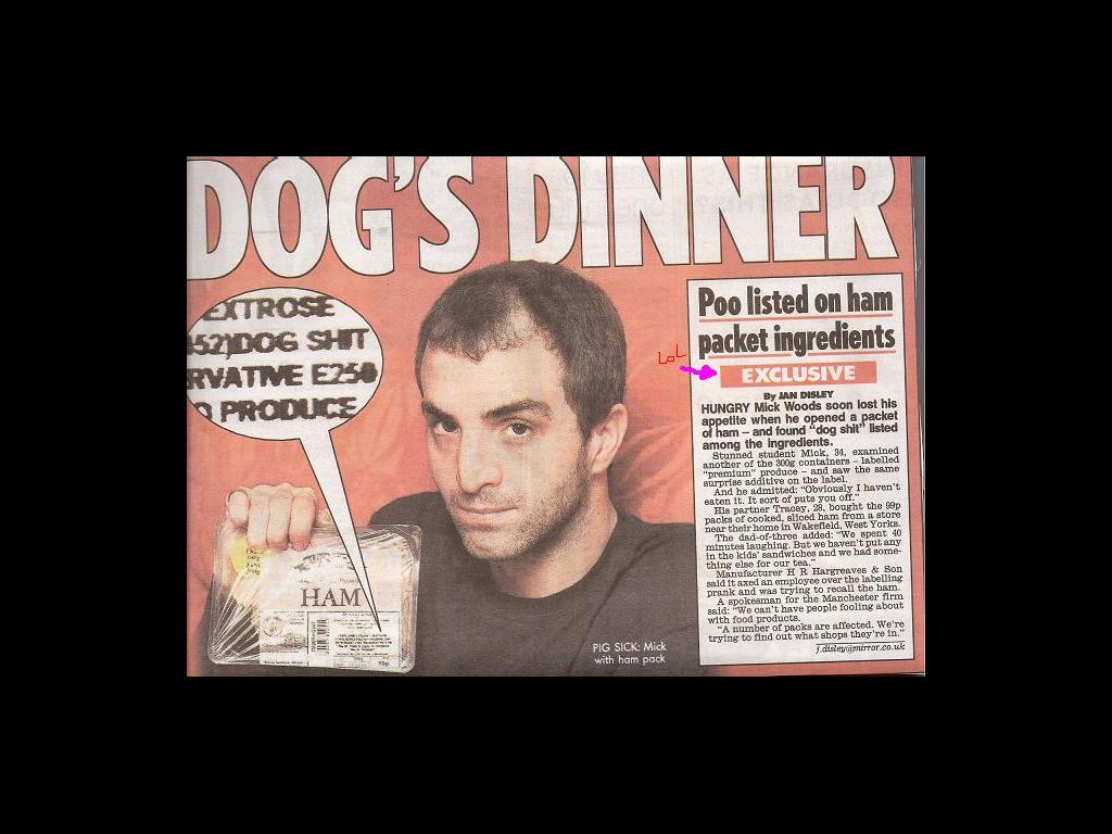 Exclusive-Dogs-dinner