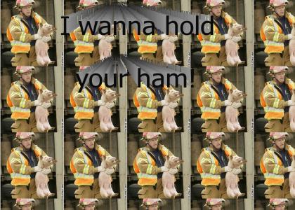 i wanna hold your ham