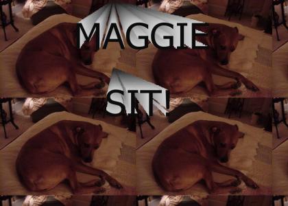 MAGGIE SIT