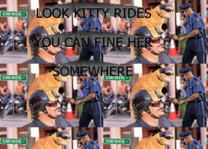 Look, Kitty Rides!
