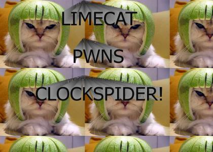 Limecat is not pleased!