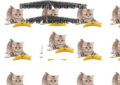 Boomerang Banana Cat is Sombre