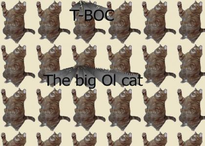 oh that big Ol cat