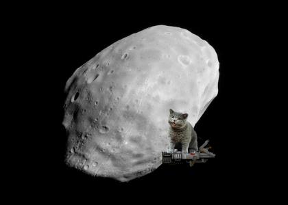 Cat on a BFG9000 in Space