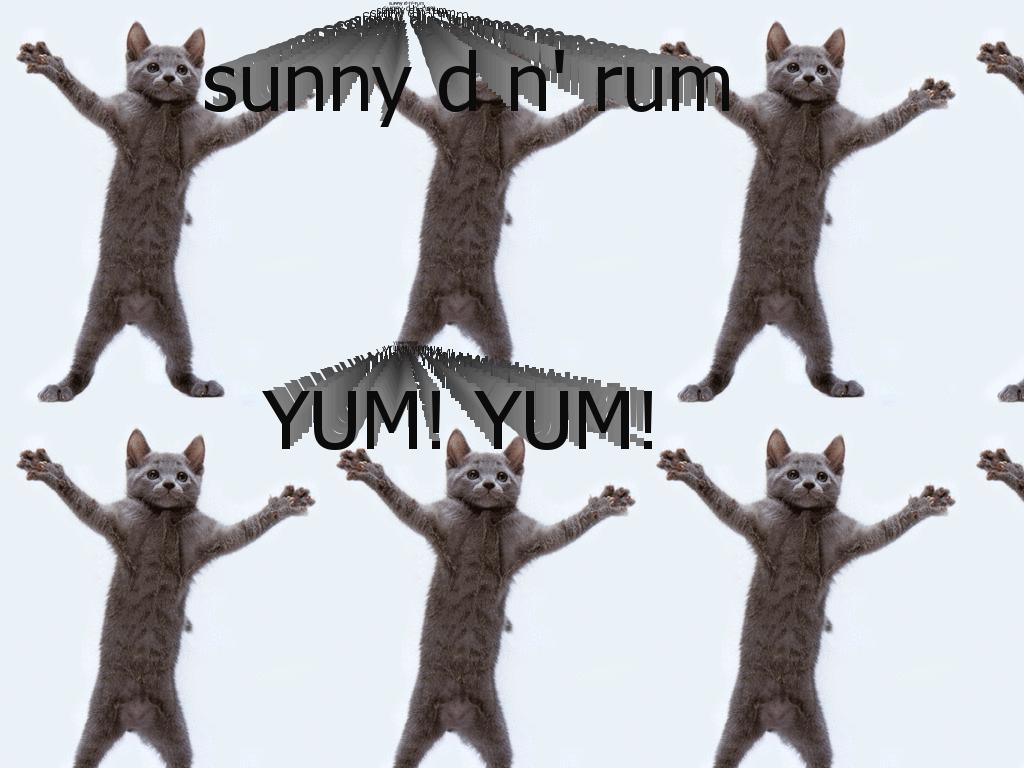 sunnydnrum