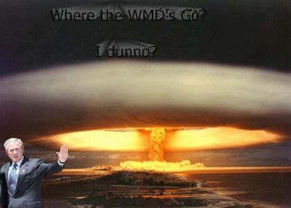 Where the WMD's go... I dunno?