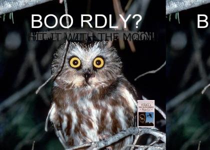 Boo Rdly?