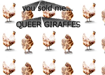 queer giraffes
