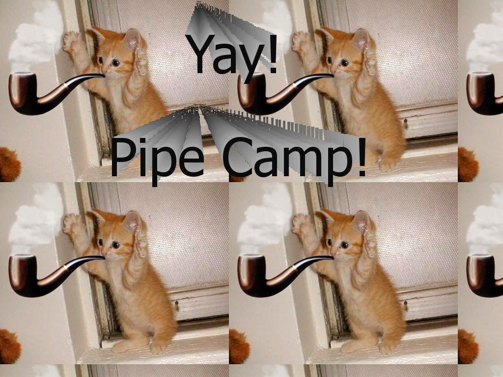 kittypipecamp