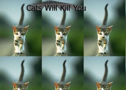 Cats Will Kill You