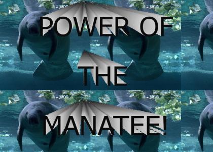 Power of the Manatee!