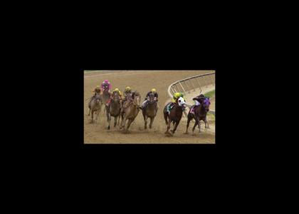 Marital Horse Race