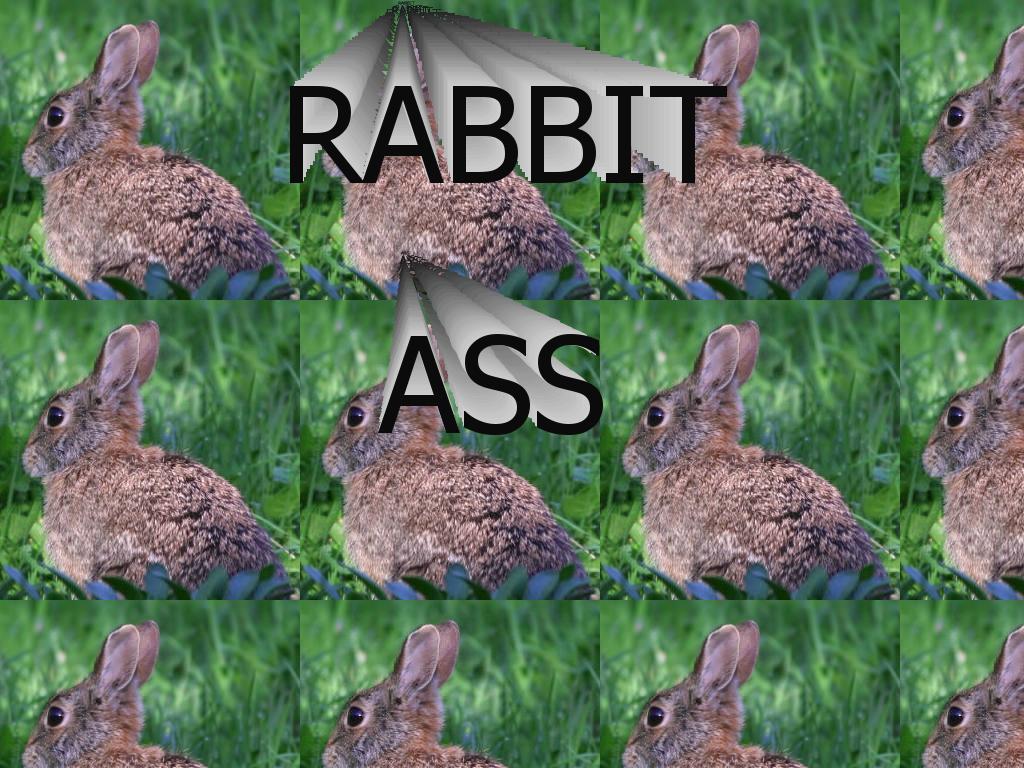 rabbitass