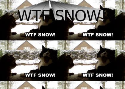 WTF SNOW